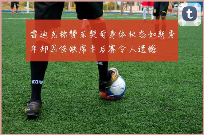 雷迪克称赞东契奇身体状态如新秀年却因伤缺席季后赛令人遗憾