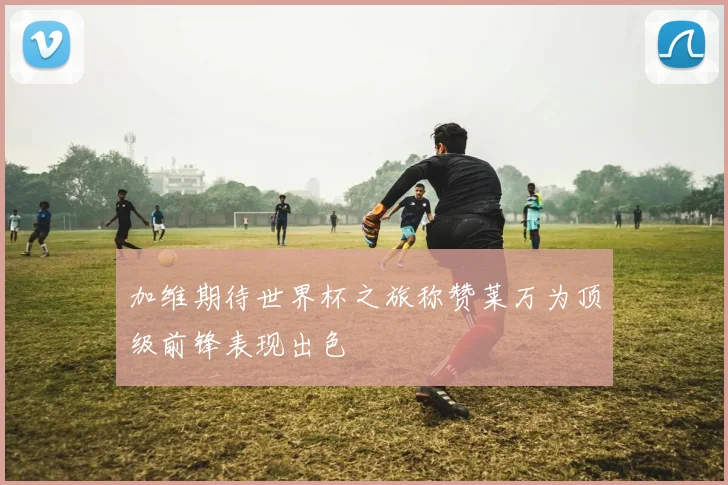 加维期待世界杯之旅称赞莱万为顶级前锋表现出色